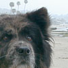 Beach Bum
