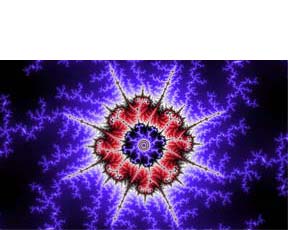 Organic Fireworks Fractal